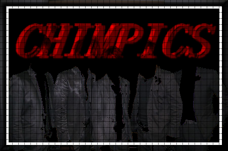 Chimpicus