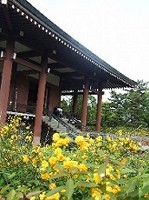 �I��肩���̎R��